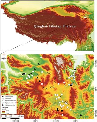Modern Pollen Assemblages in Typical Agro-Pastoral Ecotone in the Eastern Tibetan Plateau and Its Implications for Anthropogenic Activities